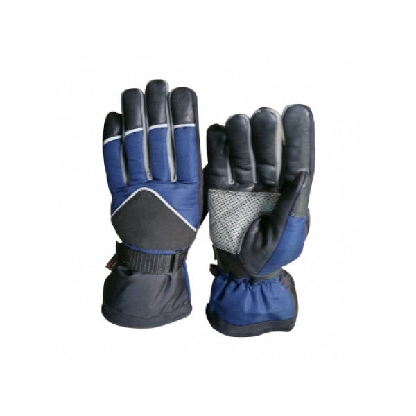 Ski gloves